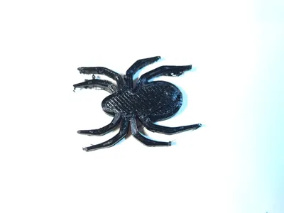 Spider prank