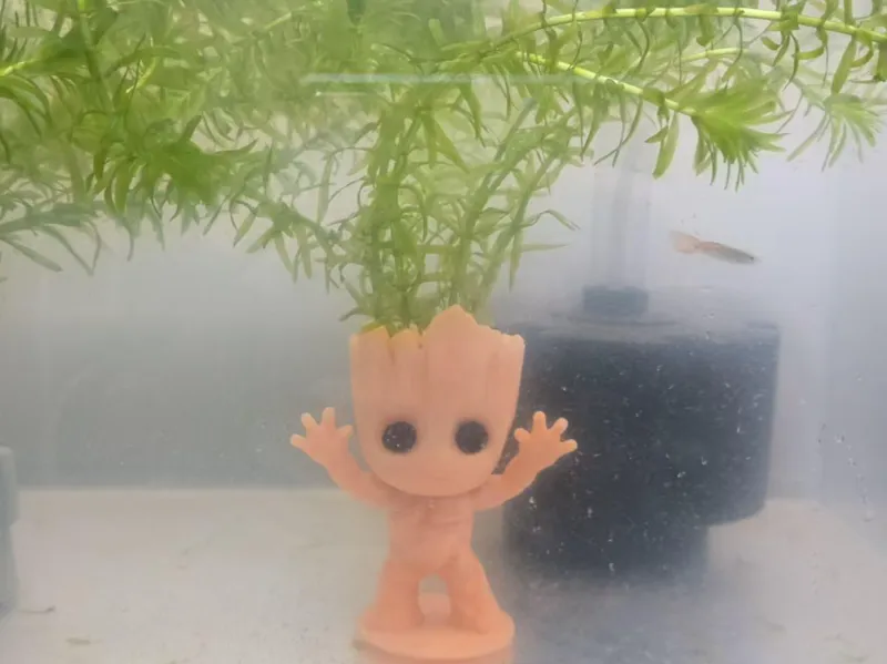 格鲁特定植篮