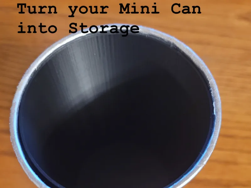 MINI Pringles can insert