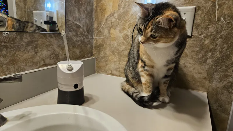 AquaPurr Water Fountain Stand