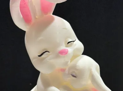 Adorable Bunny Pair
