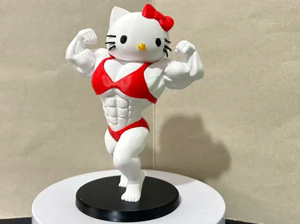 https://makerworld.bblmw.com/makerworld/model/DSM00000002519896/design/161f7bc28a30b050.jpg