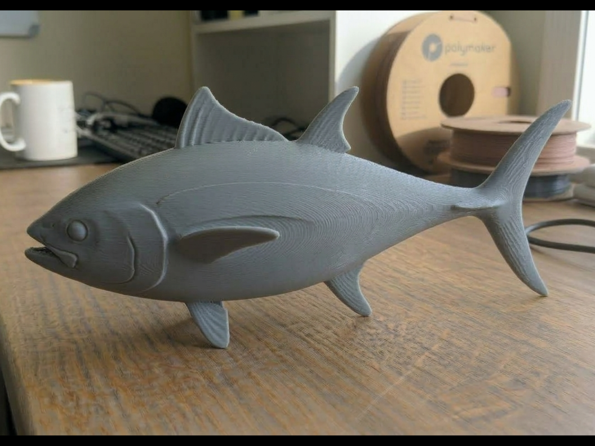 Blackfin Tuna Model