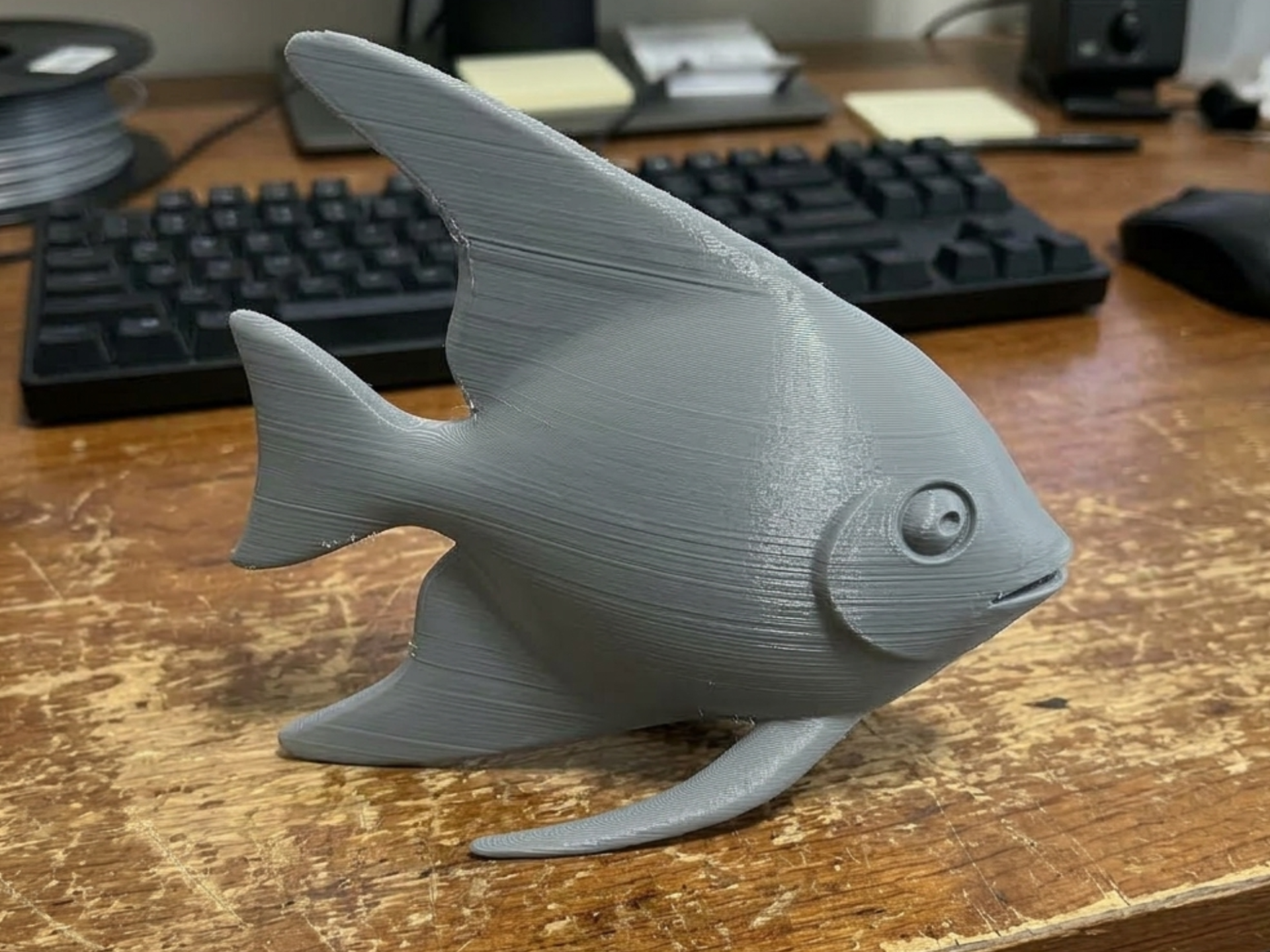 Angel Fish Mount