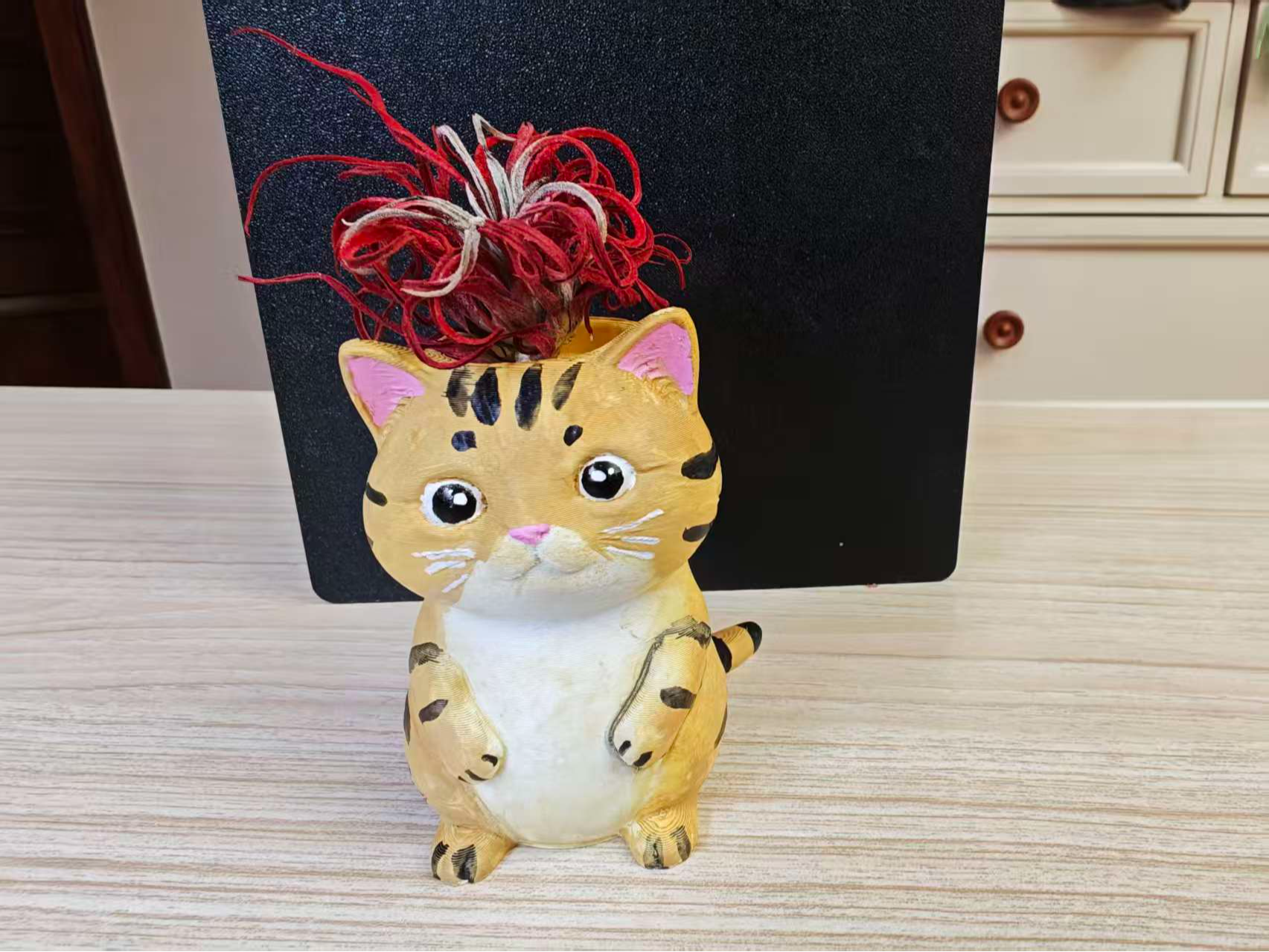 猫花盆