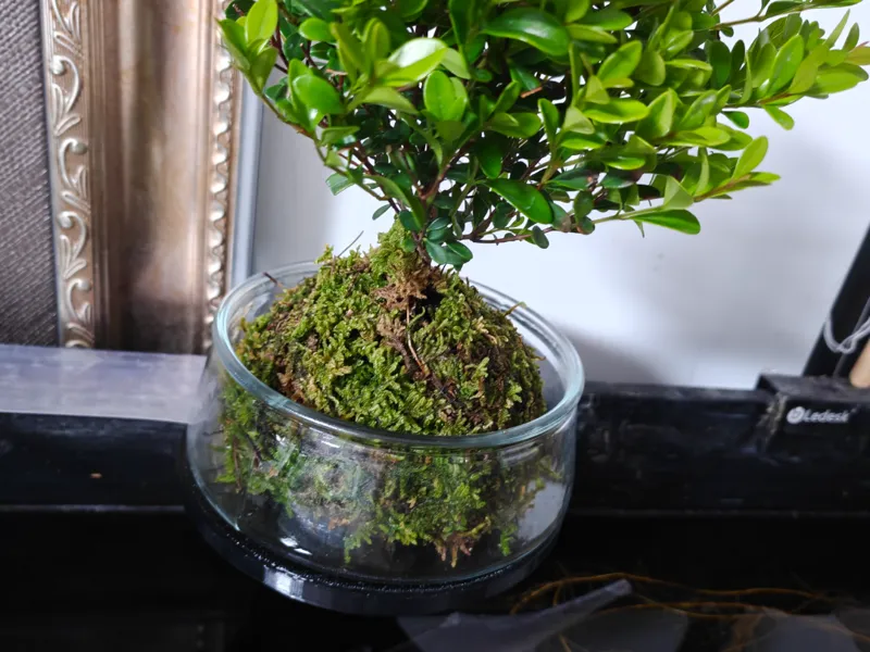 12mm厚鱼缸玻璃花盆架