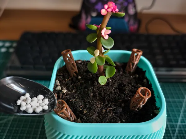 https://makerworld.bblmw.com/makerworld/model/DSM00000002521934/design/f7fd501d11339b14.jpg