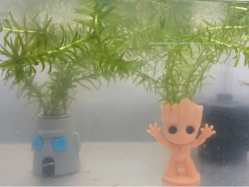 石像屋定植篮