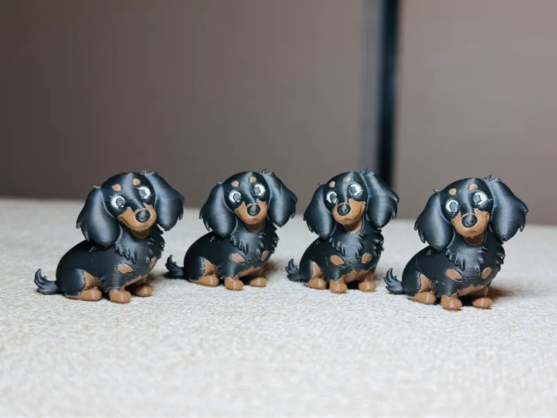Miniature Dachshund
