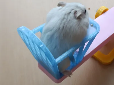 Hamster Dining Set