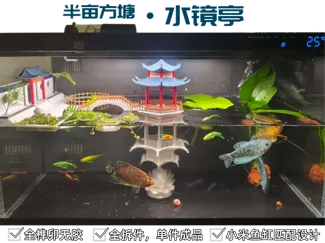 半亩方塘·水镜亭