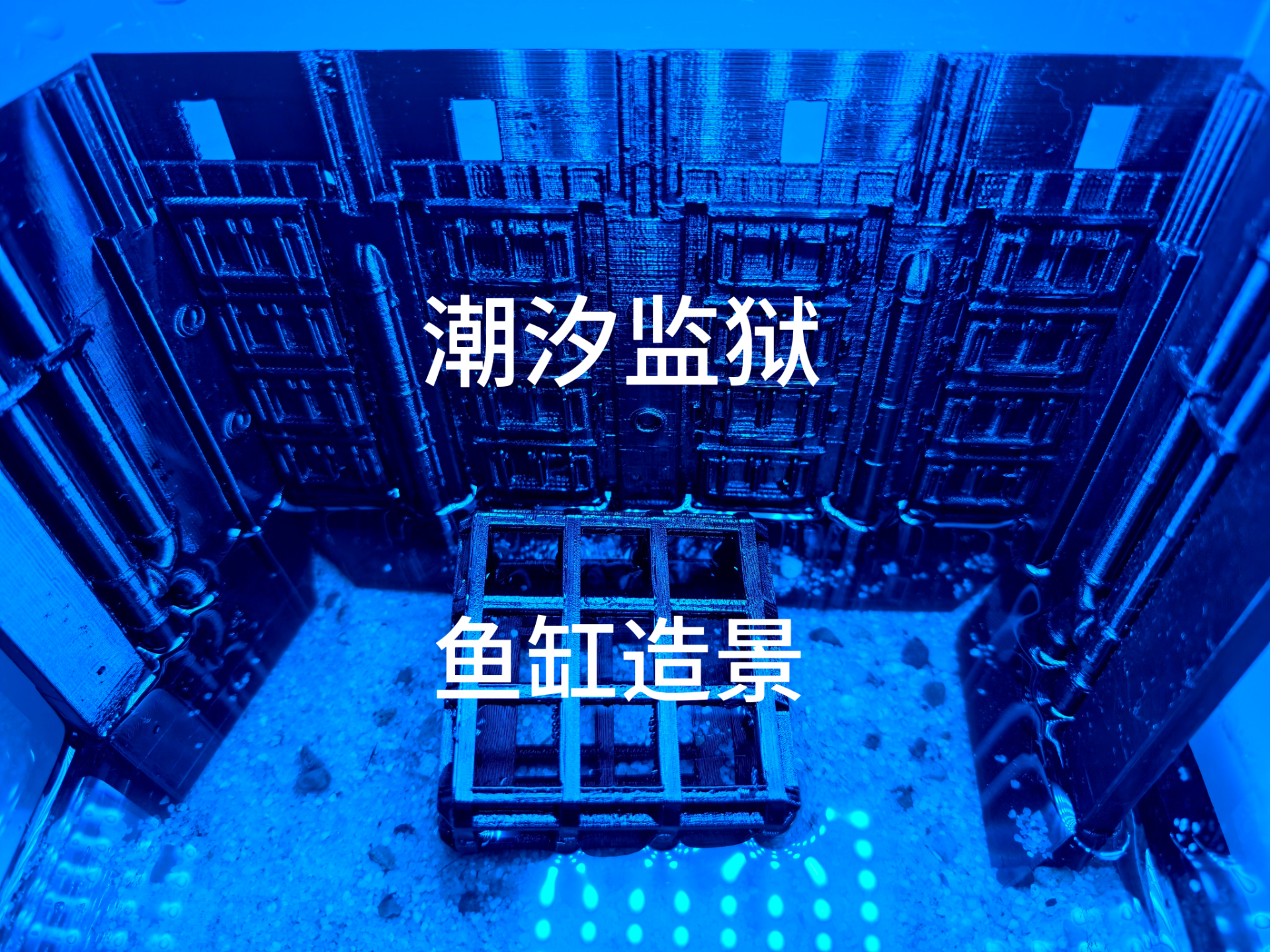 潮汐监狱鱼缸造景