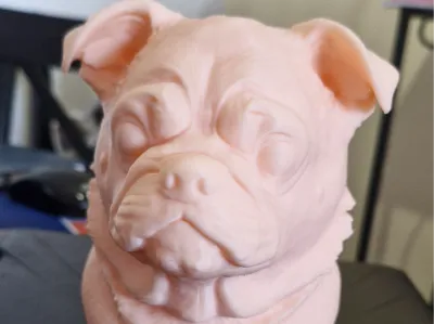 Pug Bust