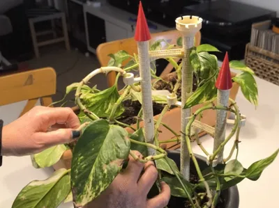 castle plant support