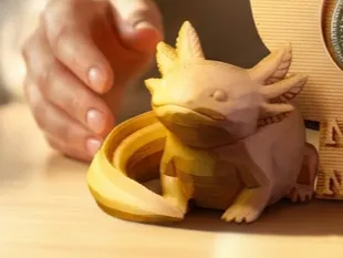 Axolotl Woodcarved