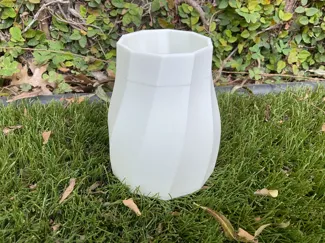 plant vase