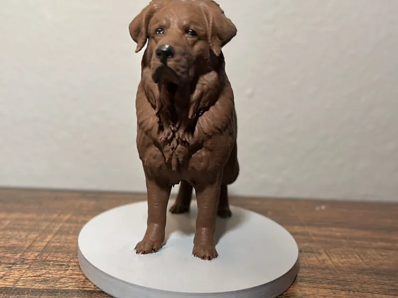 Perro grande