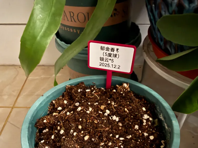 盆栽标签