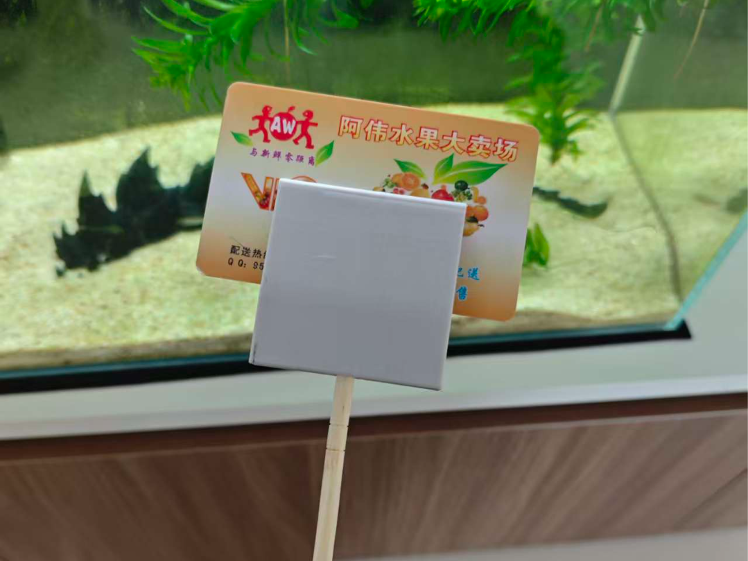 鱼缸卡片挂藻刀