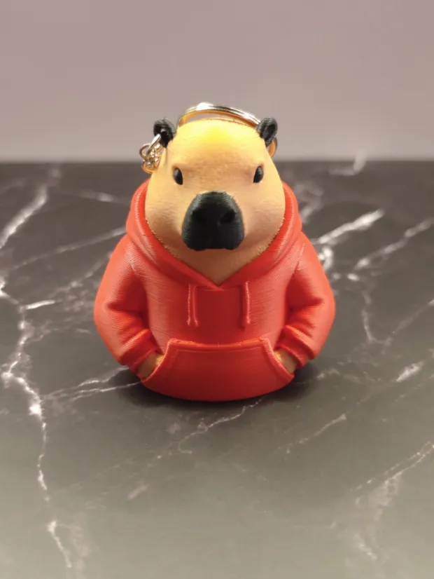 Capybara with hoodie