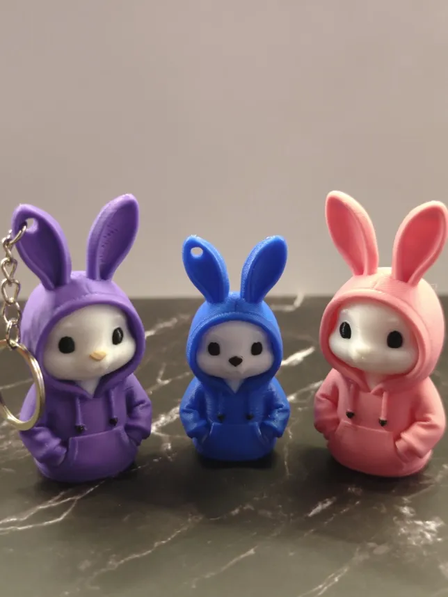 Bunny with hoodie