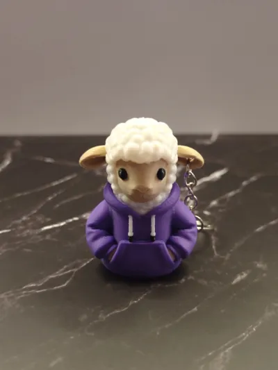 Sheep with hoodie