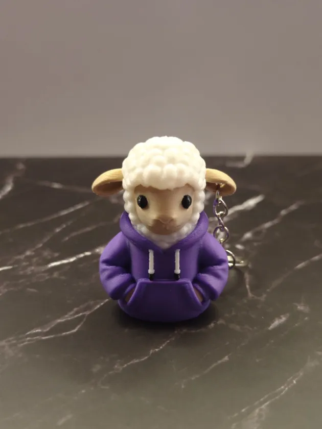 Sheep with hoodie