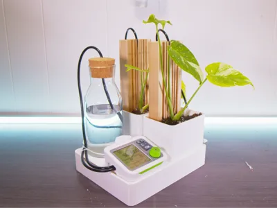Rainpoint Auto Water Pod