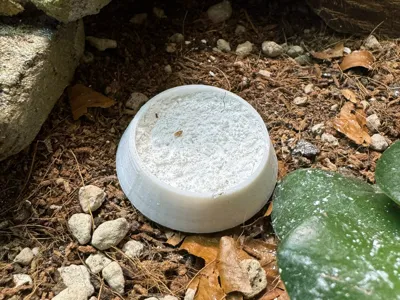 reptile calcium bowl