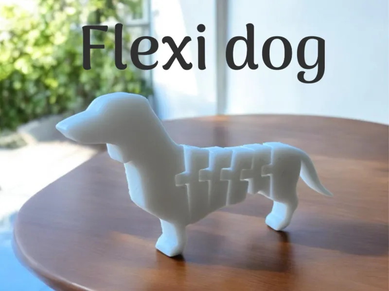 Flexi dashshund/dog