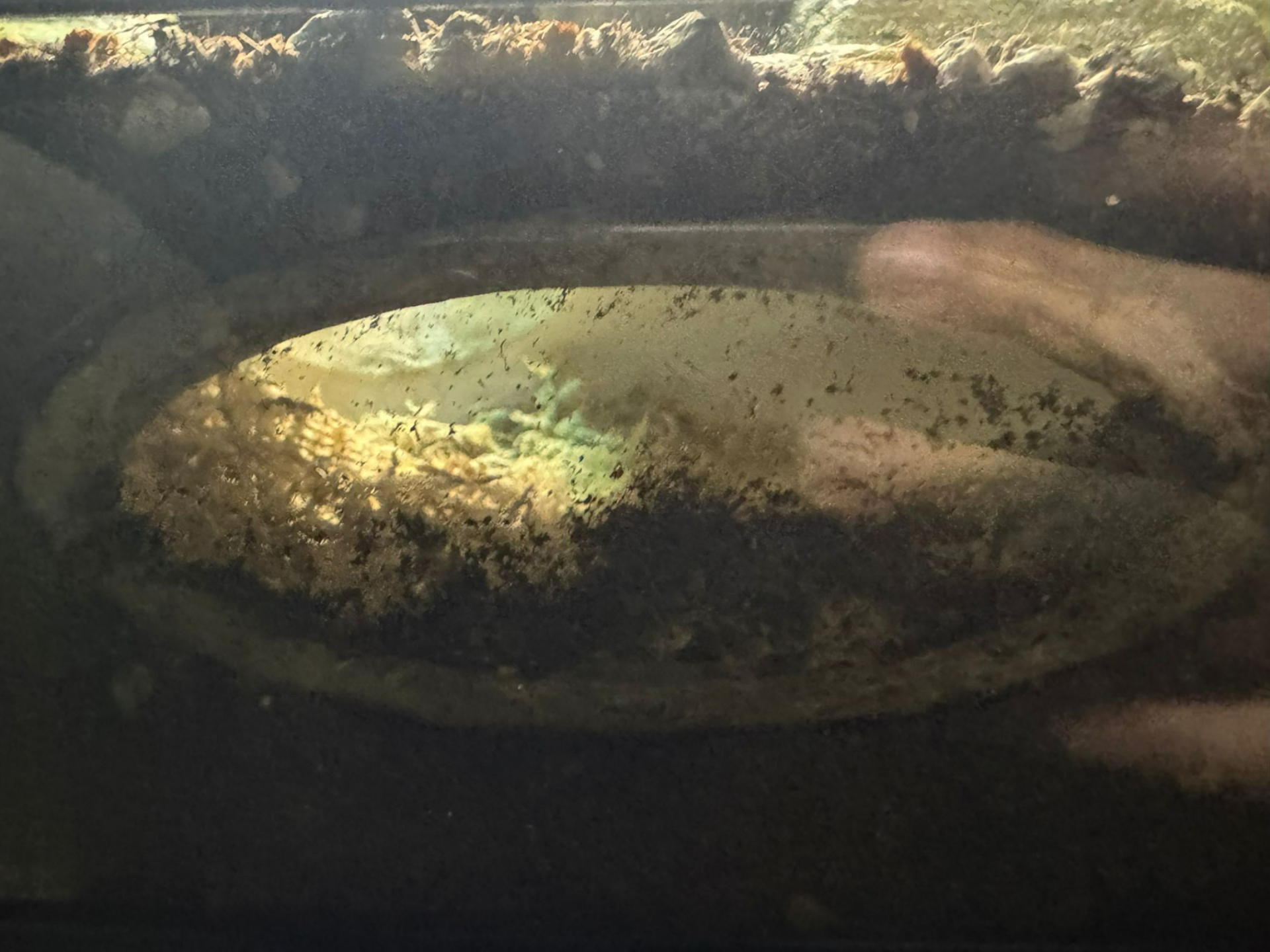 Gecko burrow with window for glass terrarium