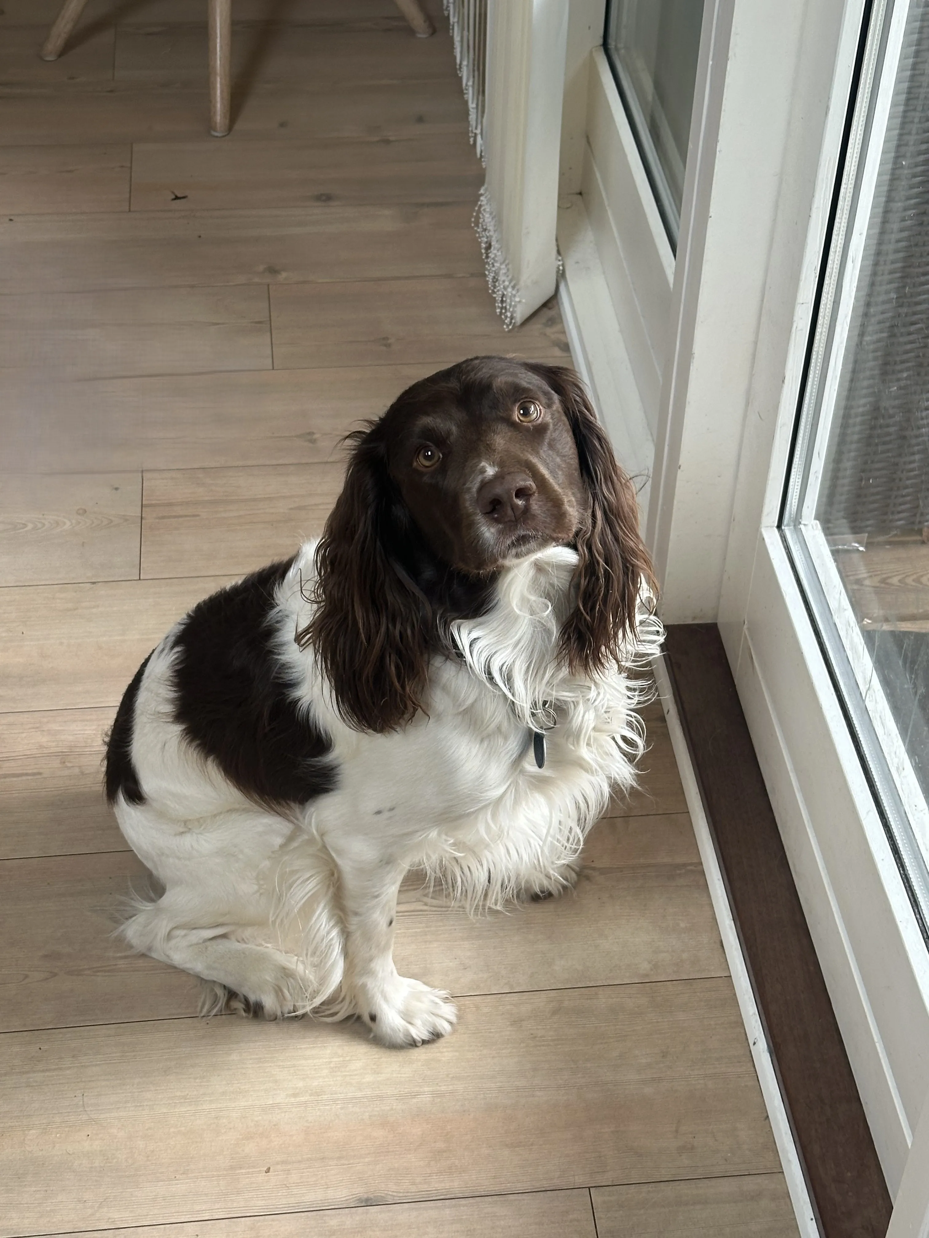 Archie