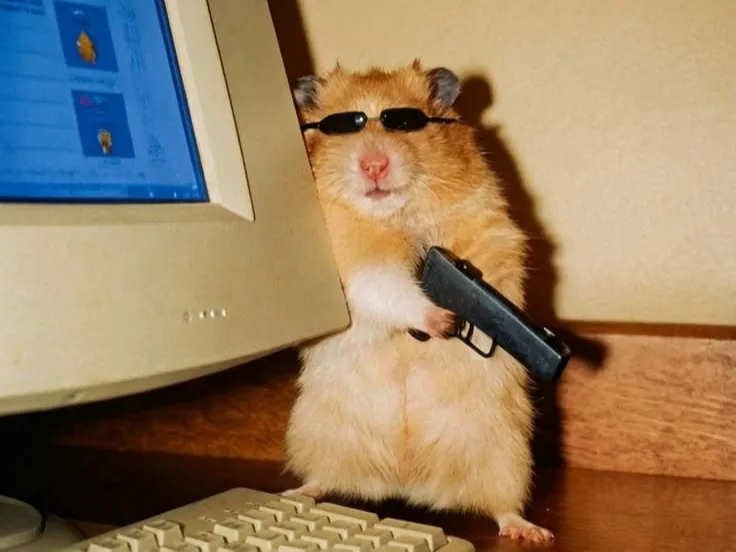 Armed Rat