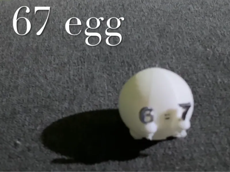 67 EGG no supports by Me and my friend Luke, 