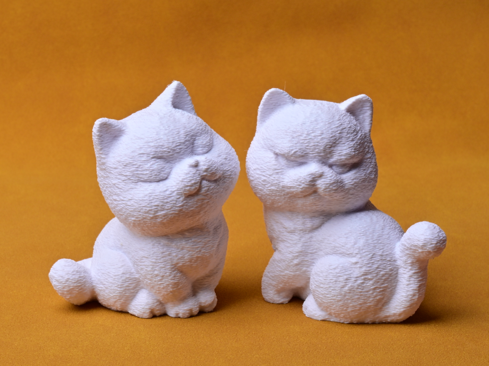 猫（绒毛表面）