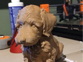dog