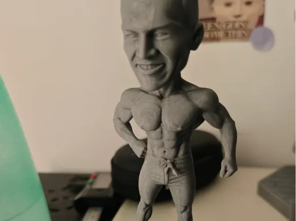 https://makerworld.bblmw.com/makerworld/model/DSM00000002539603/design/9a796e68eb3d30d3.jpg