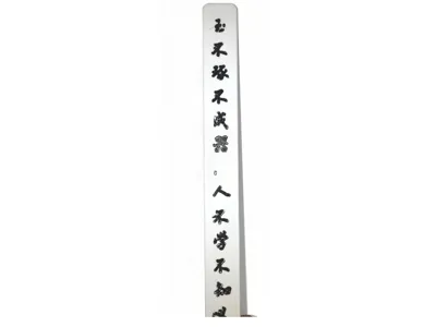 Discipline Ruler 3D Printed Model - 250mm long