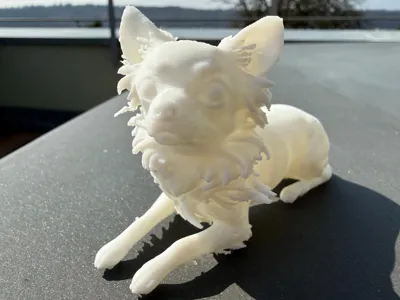 Chihuahua_Arischa
