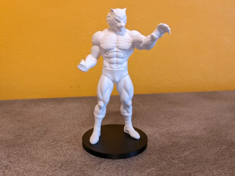Tiger Mask Uomo Tigre
