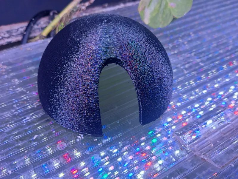 Fish cave