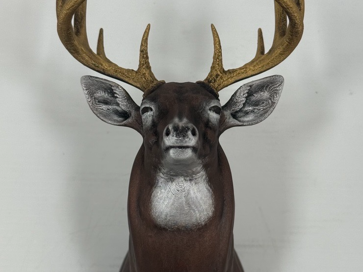Majestic White-Tailed Deer Wall Mount 