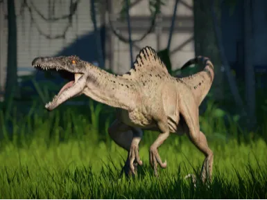 Spinoraptor Battle ready