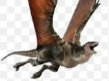 Mutadon Flying