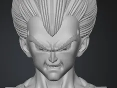 vegeta