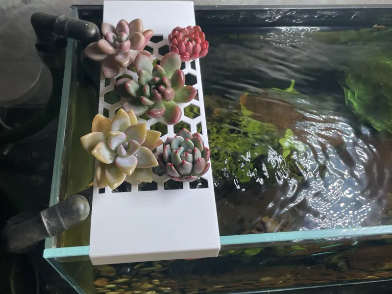 鱼缸水培多肉支架