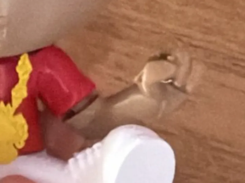 MY MOMENT BY VN TESTE