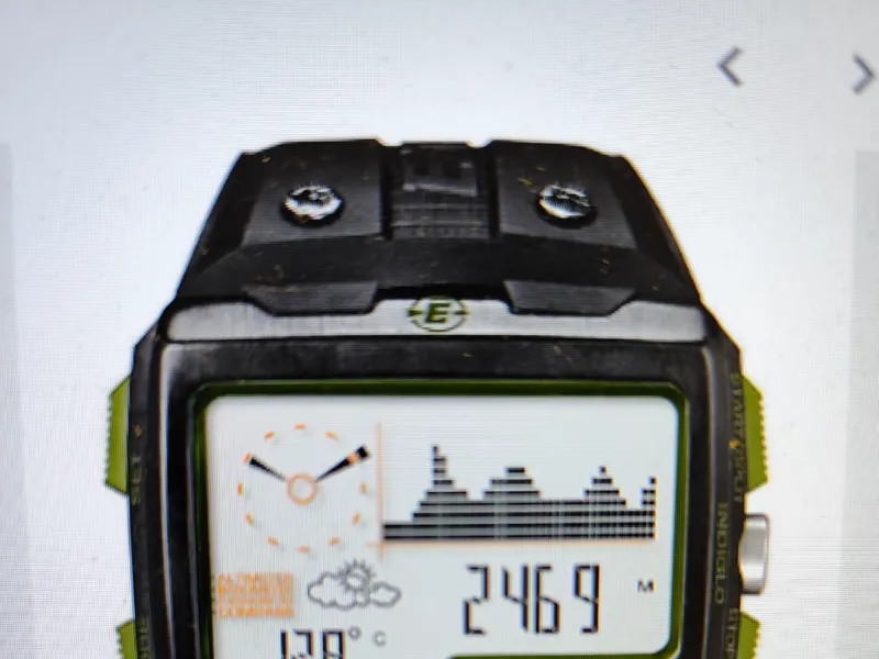 SW4 watch parts