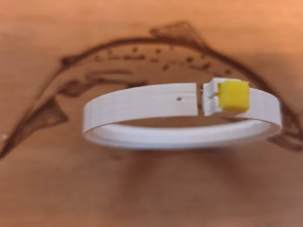 https://makerworld.bblmw.com/makerworld/model/DSM00000002546555/design/a8860fab90c47eb6.jpg