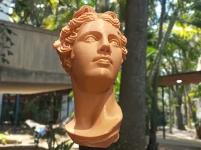 Bust of Aphrodite